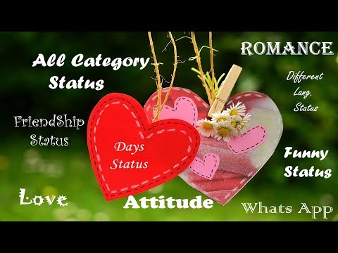 All Category Status Video