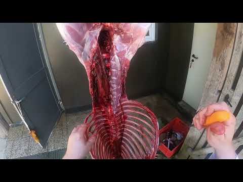 Hirsch  hängend zerlegen, ohne Säge! Teil 2  So wird`s gemacht! Profi Metzger Ralf