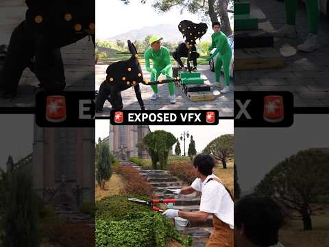 EXPOSING Zach King’s illusion 🎥🪄 #behindthescenes #motioncapture #filmmaking #elephant