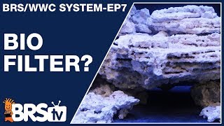 reef saver dry aquarium