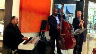 David Freeman Trio-Norwegian Wood (Lennon and McCartney)