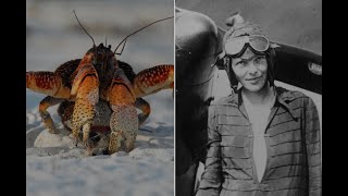 Unsolved Mystery: What Really Happened to Amelia Earhart?