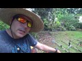 Maruyama Shindaiwa Bushcutters And Whips Part 2 B