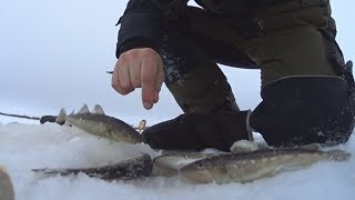 Рыбалка на севере луда уна