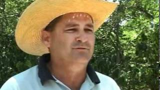 preview picture of video 'Día del campesino.mpg'