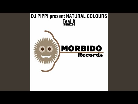 Feel it (Pleasure Team Perverse Remix) (Dj Pippi Presents Natural Colours)