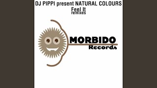 Feel it (Pleasure Team Perverse Remix) (Dj Pippi Presents Natural Colours)