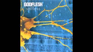 GODFLESH - Xnoybis [Psychofuckdub Part 2]