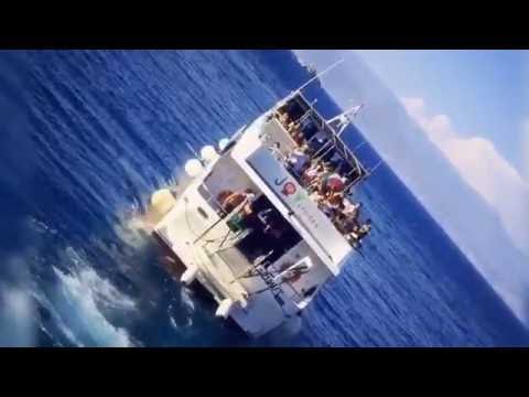 Aftermovie Scuolazoo Viaggio Evento 2016 Ipsos