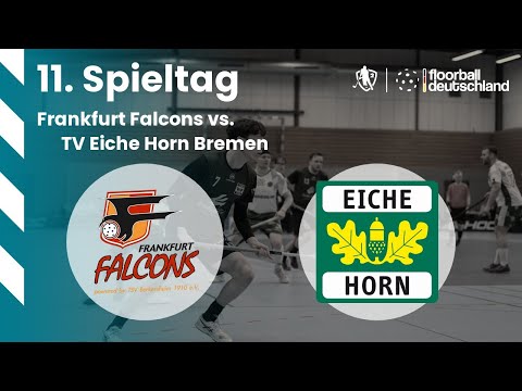 52 | Frankfurt Falcons vs. TV Eiche Horn Bremen | 11. Spieltag - 24.01.2026