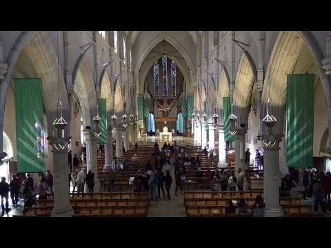 (2018-07-15) July 15, 2018 Mass for the 15th Sunday of Ordinary Time