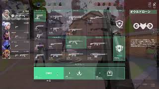 PC 初心者ののんびりVALORANT
