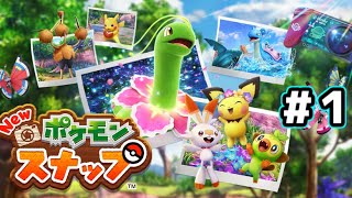 【ポケモン図鑑と見る】New ポケモンスナップ　実況プレイ　＃１