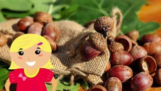 Les fruits d'automne - Comptine