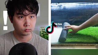 Fish Tank Ideas are getting CRAZY | Fish Tank Review 250