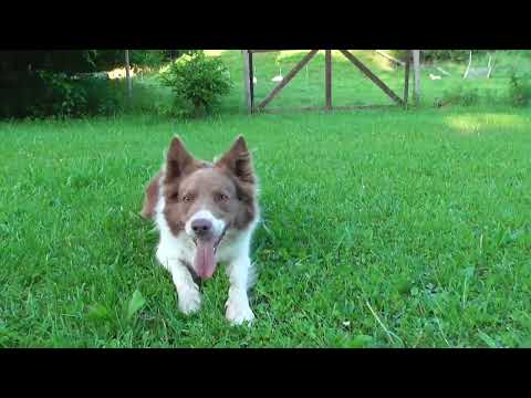 Give me Kisses of Silent Storm 7 years