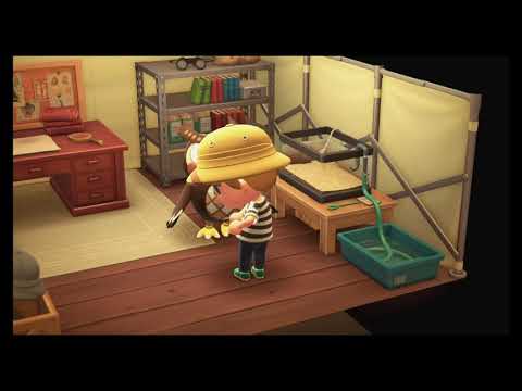YouTube video about Explore a Whole New World with Animal Crossing Game