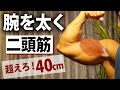 【目指せ上腕40cm超え!Part2】ダンベルで太い腕を作る!二頭筋。力こぶ。インクライン・カール。