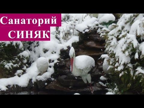 Как укрепить мышцы шеи при грыже шейного отдела Эффективное лечение при остеохондрозе поясничного отдела позвоночника