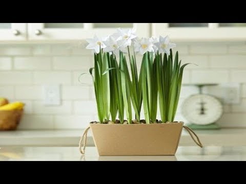 Daffodil paper #1| Craft tutorial - HMC Art