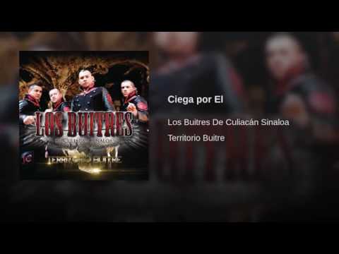 Ciega por El  Los Buitres De Culiacan Sinaloa