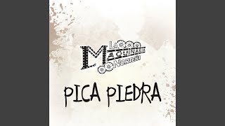 Pica Piedra