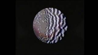 Gallops - Crystal Trap