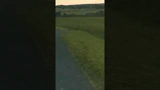 Download lagu two hares standing up having it out with eachother | CONTENTbible mp3