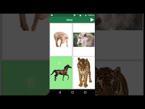 English Animals and Birds Quiz Video