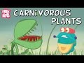 Carnivorous Plants The Dr Binocs Show Educational Videos For Kids