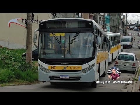 313, 315 e 347 Moratense Escolar -VIP III VOLVO B270F E5 -Audace da Capellini e VIP IV da Moratense
