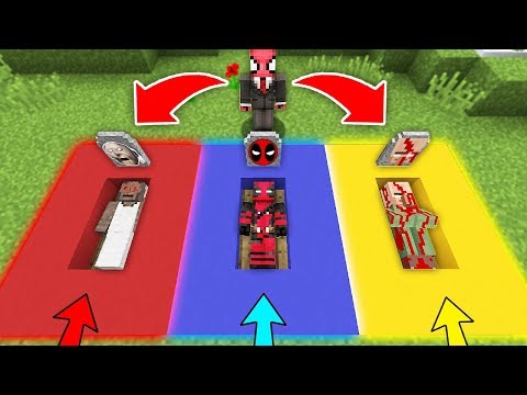 ÖRÜMCEK ADAM RENKLİ KORKUNÇ MEZARI BULDU HANGİSİNİ SEÇECEK? - Minecraft