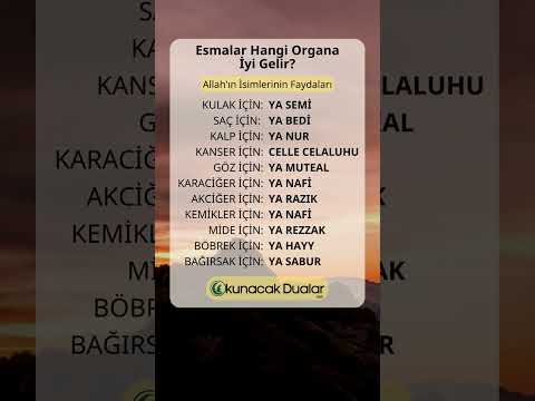 Esmalar Hangi Organa İyi Gelir? - Allah'ın İsimleri!