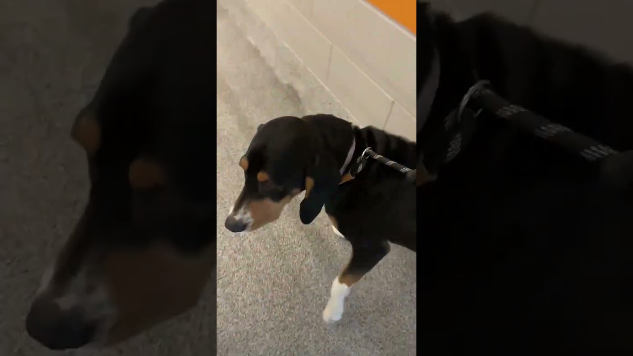This Poor Boy video