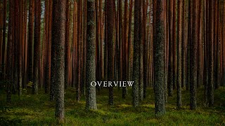 Video thumbnail for Albion V Tundra -  Quick Overview by Spitfire Audio
