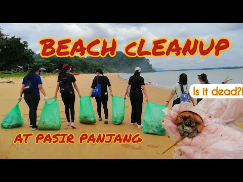 Beach Cleanup with Friends||Pasir Panjang
