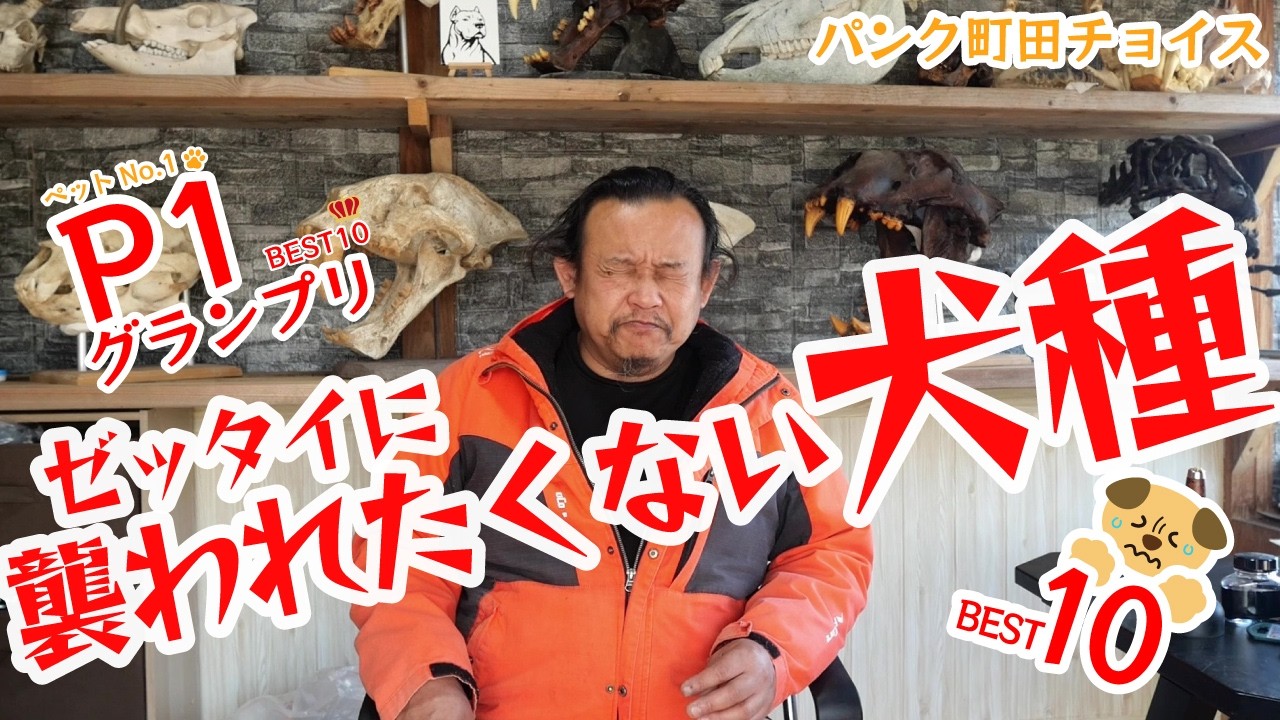 【P1グランプリ】絶対に襲われたくない犬種【ベスト10】