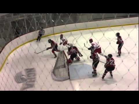 MSOE Hockey vs Lake Forest 1-9-16 - Goal in 3rd Period