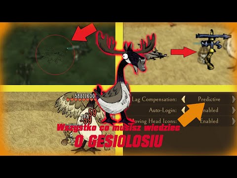 WSZYSTKO O GĘSIOŁOSIU!