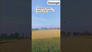 Download lagu SUBCRIBE yaa...Panen padi gaess#viralvideo #fyp #panenpadi #kerjakeras mp3