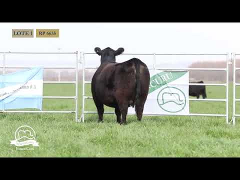 HUACA CURU   VAQUILLONAS PP   LOTE 1