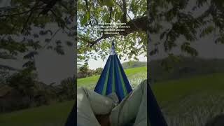 Download lagu Wong lanang seng setia #shorts #storywa mp3