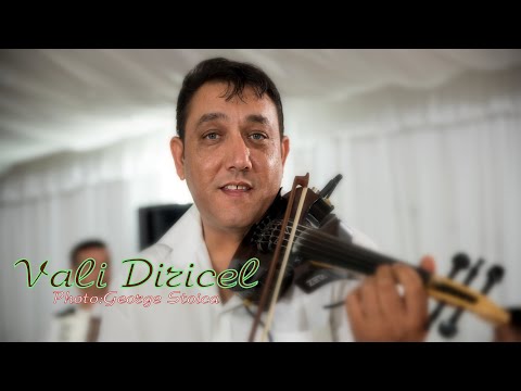 Vali Diricel - Hora lui Diricel ....la vioara