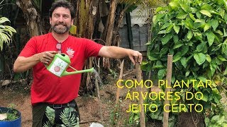 Miniatura do vídeo