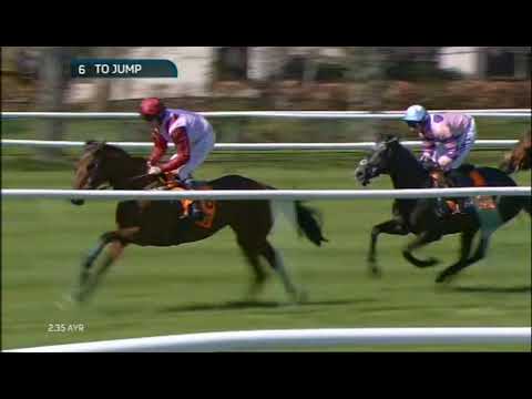2015 QTS Scottish Champion Hurdle