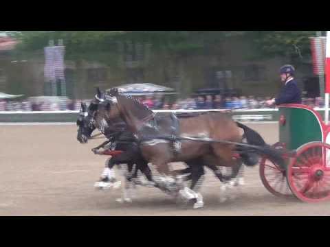 Hengstparade Warendorf 2017 - Altrömische Jagdanspannung