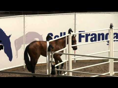 Urano de Cartigny (Diamant de Semilly)