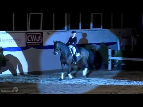 Rock Forever NRW _ Hengstschau 2015