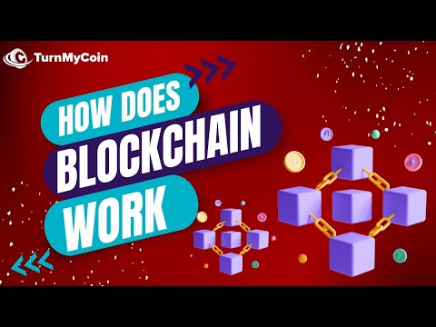 Videos from TurnMyCoin