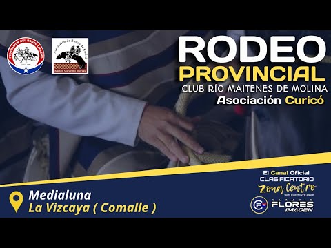 SERIE DE CAMPEONES - RODEO PROVINCIAL - Club Rio Maitenes de Molina - Asociación Curicó